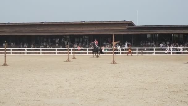 Moskevský kraj (29. červenec 2019: Festival Evropského středověku) Rekonstrukce středověkého turnaje Jezdec testuje jeho schopnosti meče na koni. Rytíř jede na koni přes tiltypek — Stock video