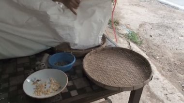 Yaşlı kadın yuvarlak hasır threshing sepet veya bambu elek içine çanta dan arabica kahve çekirdekleri dökme ile sıralama için. Kahve ekim fabrikasında kalite kontrol ve seçim