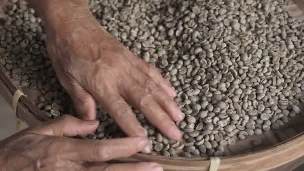 Kezében egy idős nő válogatás révén Arabica kávébab, minőség-ellenőrzés és a kiválasztás a kávé ültetvény gyár Délkelet-Ázsiában. fizikai munka a kávé begyűjtésében és feldolgozásában. Szerves — Stock videók