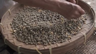 Yuvarlak hasır threshing sepet veya bambu elek, kalite kontrol ve Güneydoğu Asya kahve ekim fabrikasında seçim arabica kahve çekirdekleri ile sıralama yaşlı bir kadının elleri. el emeği