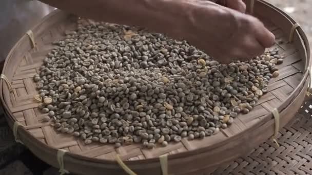 Hands of a old woman sorting through arabica coffee beans in round wicker threshing basket or bamboo sieve, quality control and selection on coffee plantation factory of Southeast Asia. manual labor — Stock Video