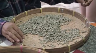 Yuvarlak hasır threshing sepet veya bambu elek, kalite kontrol ve Güneydoğu Asya kahve ekimi fabrikasında seçim arabica kahve çekirdekleri ile sıralama bir halkın elleri. el emeği