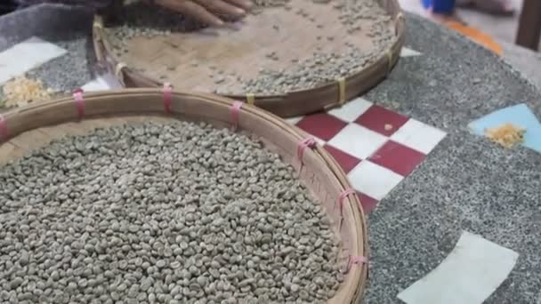 Pessoas que classificam através de grãos de café arábica em pequena cesta de vime redonda ou peneira de bambu, controle de qualidade e seleção na fábrica de plantação de café do Sudeste Asiático. trabalho manual na coleta e — Vídeo de Stock