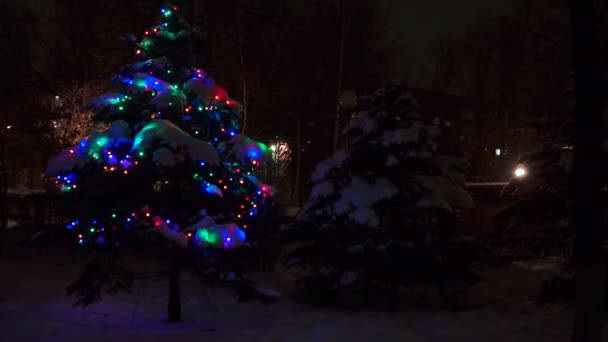 Levande julgran i vinter skogs skogen med blinkljus. Ljus flimrar på Gran trädet i skogen på natten. Nyårsnatten skog — Stockvideo