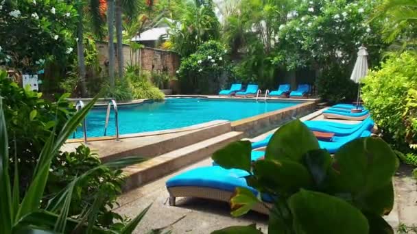 Piscina vacía con agua clara por la mañana temprano. Encuesta de natación con tumbonas azules a la sombra de los árboles — Vídeo de stock