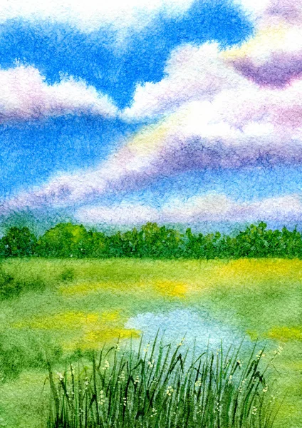 夏のフィールドの風景。手描きの水彩画のイラスト — ストック写真
