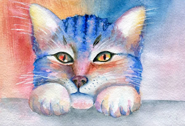 Bir kedinin portresi