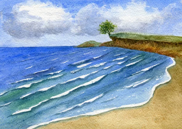 Samotne drzewo nad morzem — Zdjęcie stockowe