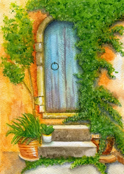 Porta da velha casa entrelaçada com hera — Fotografia de Stock