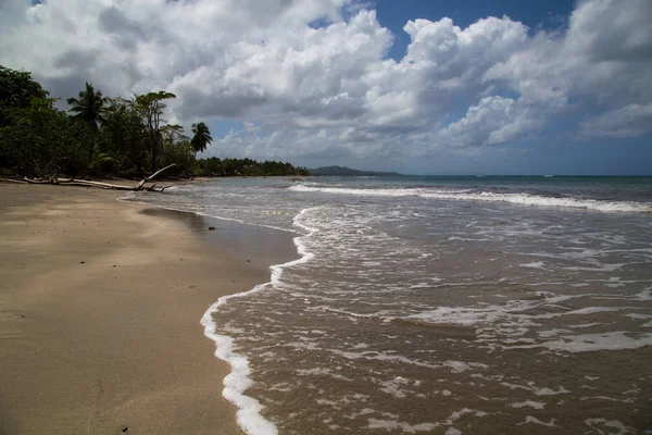 Coast line of the Atlantic Ocean in the Northern part of Dominican Republic, Caribbean.