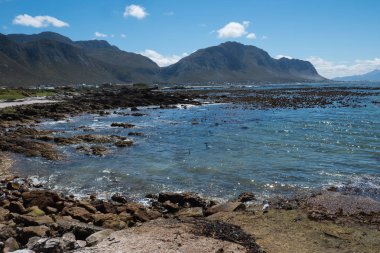 Bettys Bay Western Cape, Güney Afrika, Atlantik Okyanusu üzerinden veiw.
