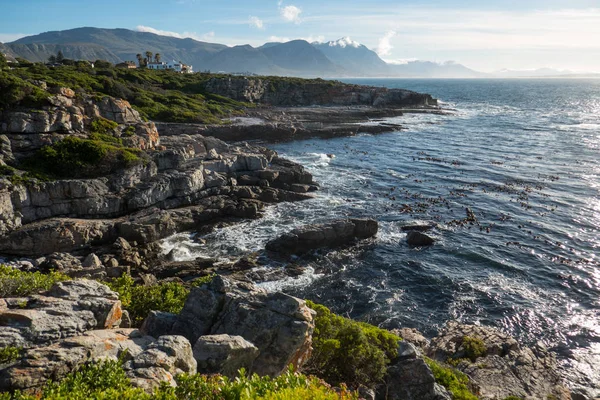 Hermanus Western Cape, Güney Afrika için Atlantik Okyanusu sahilinde.