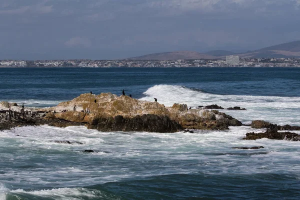Arka planda, Western Cape, Güney Afrika Cape Town ile Robben Island Beach.