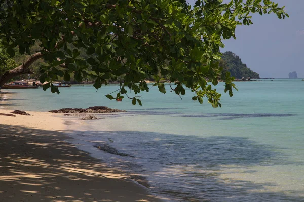 Plage Végétation Sur Petite Île Koh Kradan Dans Sud Thaïlande — Photo