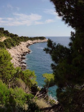 Hırvatistan 'ın Mljet adasındaki Saplunara' daki Adriyatik Denizi 'ne bak.