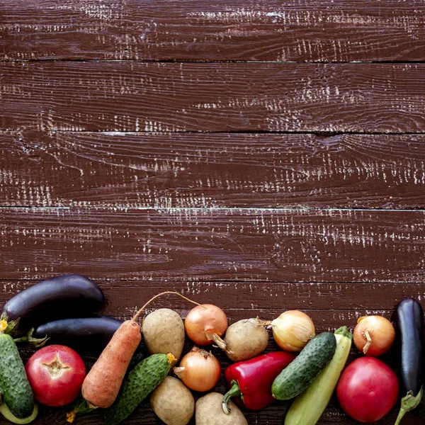 Sonbahar hasadı. Sebze - domates ve salatalık, havuç ve