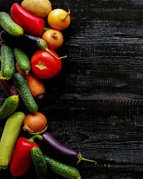 Sonbahar hasadı. Sebze - domates ve salatalık, havuç ve