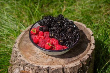 Böğürtlen ve ahududu bir kase içinde bahçede bir kütük üzerinde.