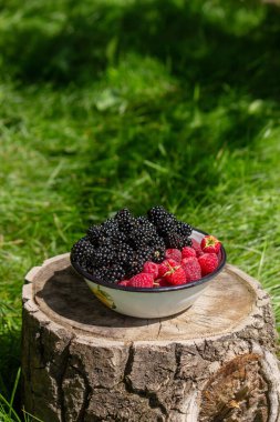 Böğürtlen ve ahududu bir kase içinde bahçede bir kütük üzerinde.