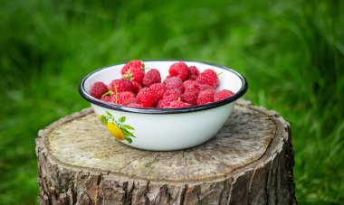 Bahçedeki bir kütükte kasede ahududu..