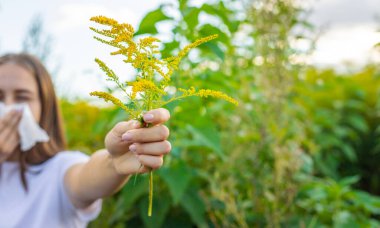 Bir kadının yabani otlara alerjisi vardır. Doğa