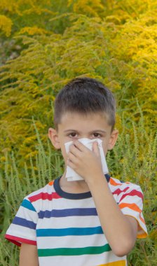 Ragweed 'e alerjisi olan bir çocuk. Seçici odak.