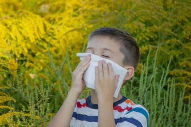 Ragweed 'e alerjisi olan bir çocuk. Seçici odak.