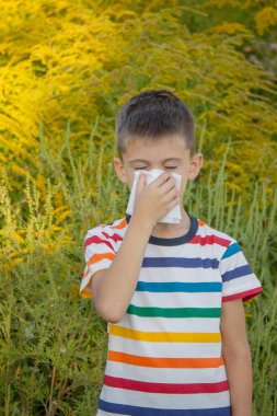 Ragweed 'e alerjisi olan bir çocuk. Seçici odak.