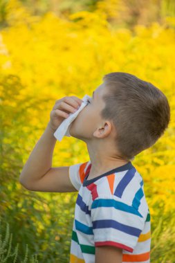 Ragweed 'e alerjisi olan bir çocuk. Seçici odak.