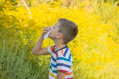 Ragweed 'e alerjisi olan bir çocuk. Seçici odak.