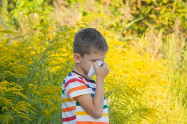 Ragweed 'e alerjisi olan bir çocuk. Seçici odak.