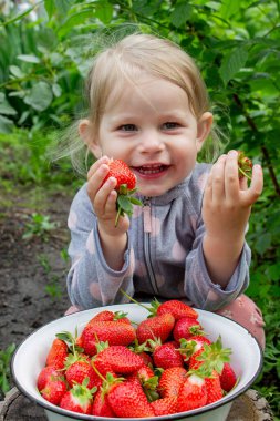Bahçede çilek yiyen bir kız. Seçici odak.