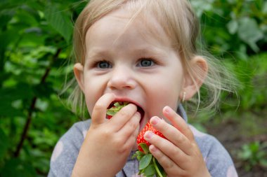 Bahçede çilek yiyen bir kız. Seçici odak.