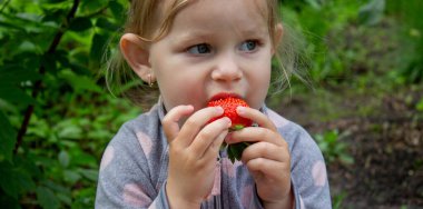 Bahçede çilek yiyen bir kız. Seçici odak.