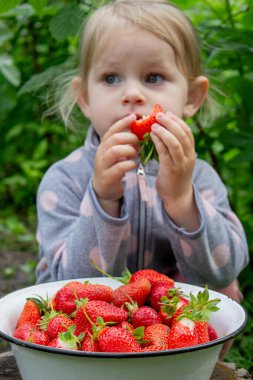 Bahçede çilek yiyen bir kız. Seçici odak.