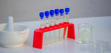 Laboratuvarda kenevir yaprağını analiz eden bilim adamı.