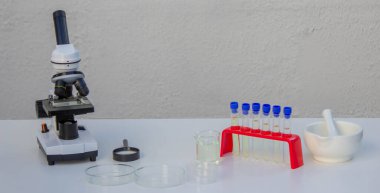 Laboratuvarda kenevir yaprağını analiz eden bilim adamı.