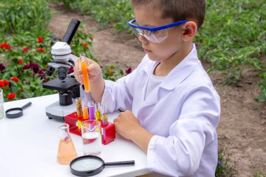 Bilim deneyleri yapan bir çocuk. Mikroskobu olan çocuk.