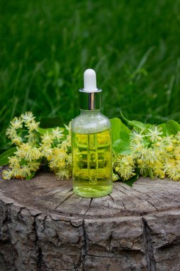 Linden çiçekleri ve gerekli yağ, bitkisel ilaçlar.