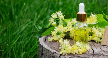 Linden çiçekleri ve gerekli yağ, bitkisel ilaçlar.