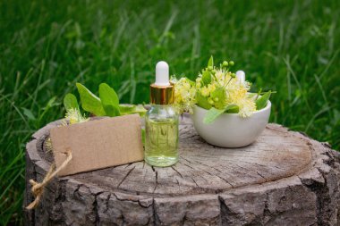 Linden çiçekleri ve gerekli yağ, bitkisel ilaçlar.