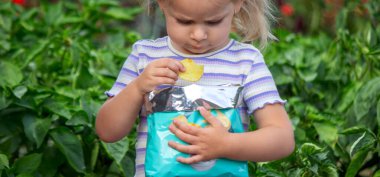 Cips yiyen kız. Sağlıksız yemek ve yaşam tarzı kavramı. Bir paket patates cipsi.