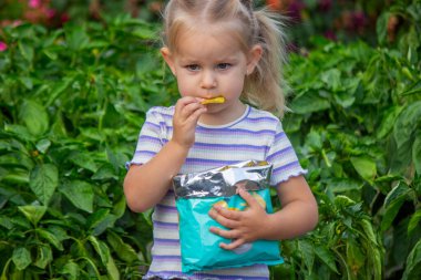 Cips yiyen kız. Sağlıksız yemek ve yaşam tarzı kavramı. Bir paket patates cipsi.