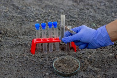 Bir bilim adamı analiz için toprağı test tüpüne koyar. Seçici odak