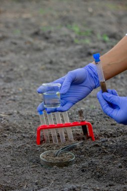 Bir bilim adamı analiz için toprağı test tüpüne koyar. Seçici odak