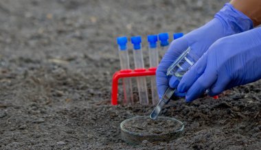 Bir bilim adamı analiz için toprağı test tüpüne koyar. Seçici odak