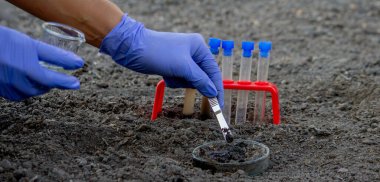 Bir bilim adamı analiz için toprağı test tüpüne koyar. Seçici odak