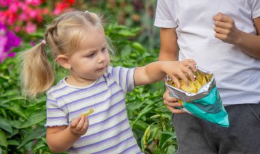 Kız ve erkek paket halinde cips yiyorlar. Çocuk