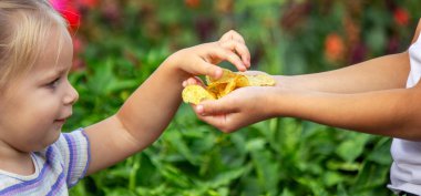 Kız ve erkek paket halinde cips yiyorlar. Çocuk