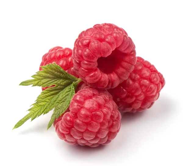 Group Fresh Red Raspberries Green Leaves Isolated White Background — Stock Photo, Image